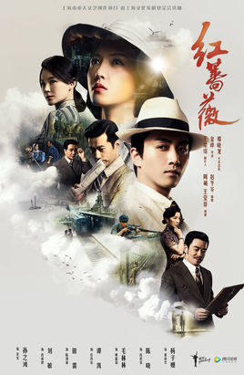 红蔷薇（DVD） (简体)