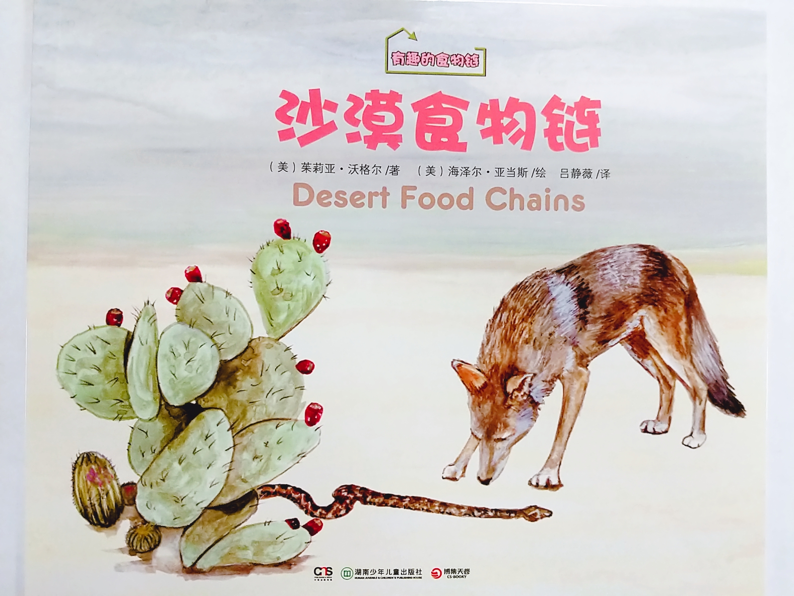 有趣的食物链·沙漠食物链（简体）