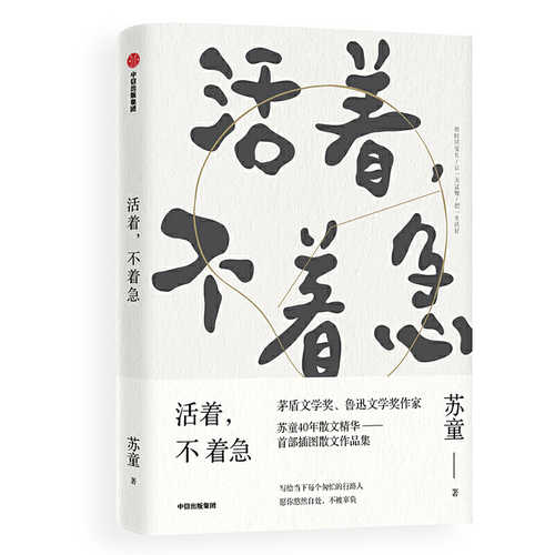 Huo zhe, bu zhao jie  (Simplified Chinese)