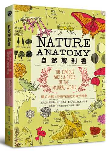 Nature Anatomy: The Curious Parts and Pieces of the Natural World