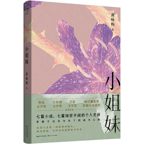 Xiao jie mei  (Simplified Chinese)