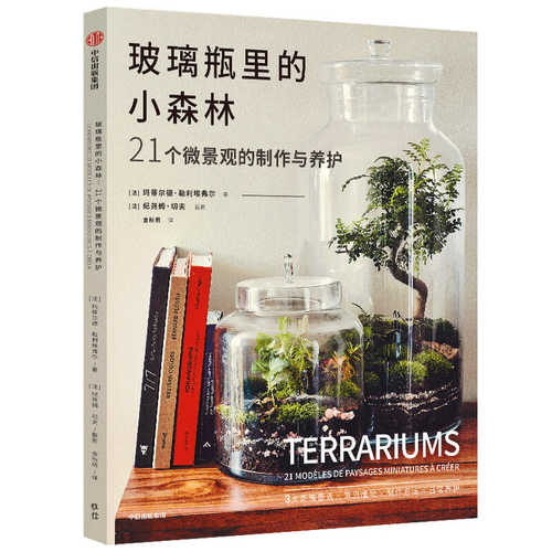 Terrariums : 21 Modeles de Paysages Miniatures a Creer