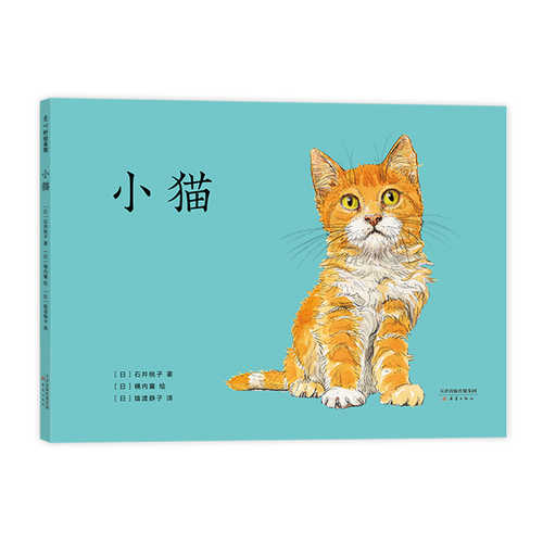 小猫 （简体）