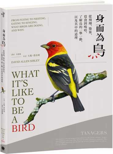 What It’s Like to Be a Bird: From Flying to Nesting, Eating to Singing--What Birds Are Doing, and Why