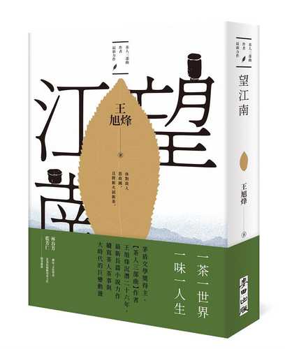 wang jiang nan 