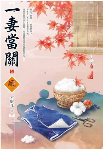 一妻當關（3）