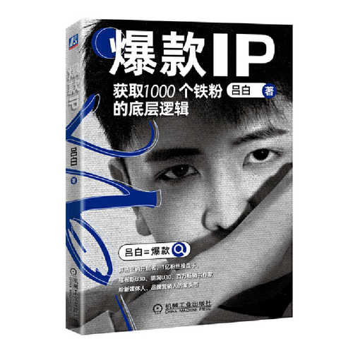 爆款IP：获取1000个铁粉的底层逻辑（简体）