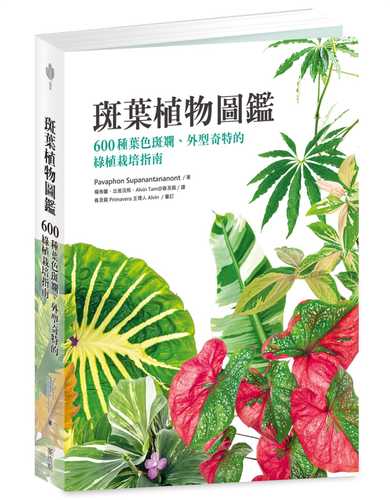 Illustrated Guide of Variegated Leaf Plants