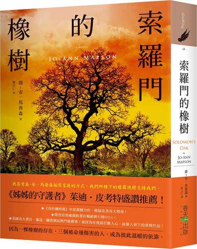 Solomon’s Oak