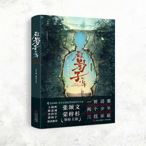 看不见影子的少年（简体）