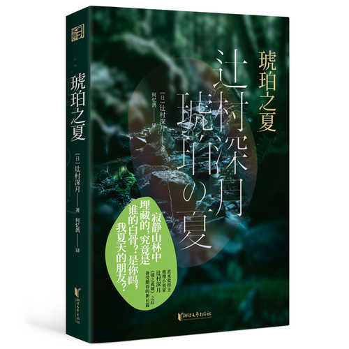 琥珀之夏（简体）