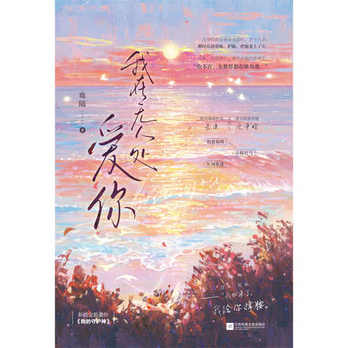 Wo zai wu ren chu ai ni(Simplified Chinese)