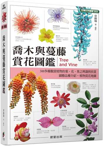 Qiao mu yu man teng shang hua tu jian