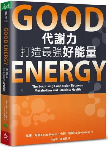 Good Energy: The Surprising Connection Between Metabolism and Limitless Health