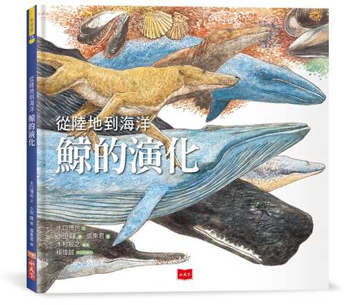 クジラの進化