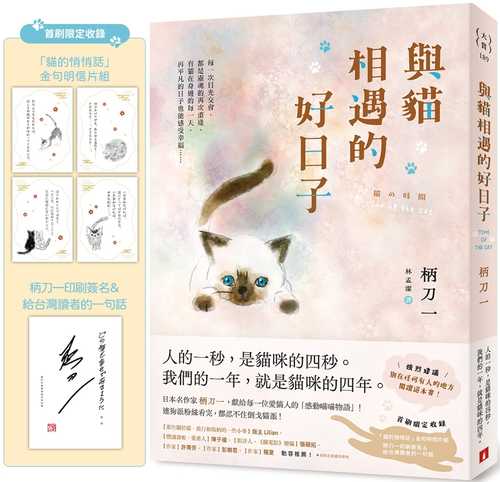 猫の時間