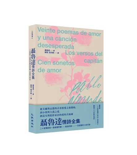 nie lu da qing shi quan ji