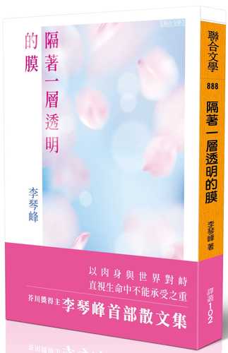 Ge zhe yi ceng tou ming de mo