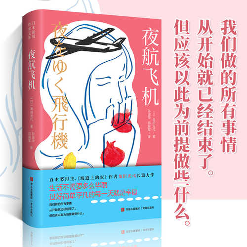 Ye hang fei ji(Simplified Chinese)