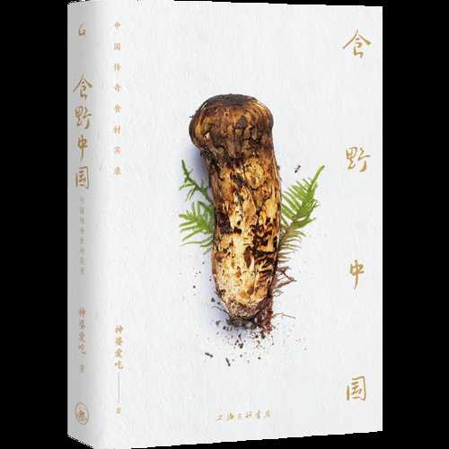 Shi ye zhong guo (Simplified Chinese)