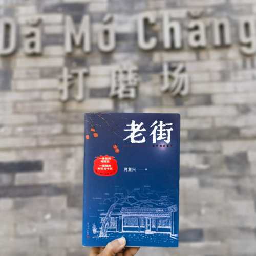 Lao Jie(Simplified Chinese)