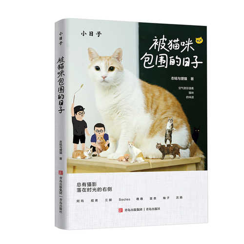 Bei mao mi bao wei de ri zi(Simplified Chinese)
