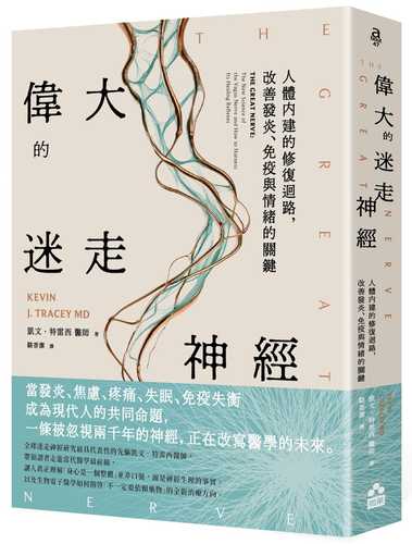 The Great Nerve: The New Science of the Vagus Nerve and How to Harness Its Healing Reflexes