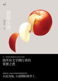 發現小說