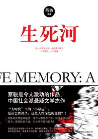 Past life memory: A novel